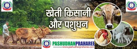 It contains lower fat, cholesterol, and lactose than cow milk, higher minerals (calcium, iron, magnesium, copper. EFFECT OF HEAT STRESS ON MILK YIELD & ITS COMPOSITION IN ...