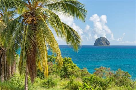 Martinique is the 3rd largest island in the lesser antilles after trinidad and guadeloupe. Best Things to Do in Martinique, French Antilles - France ...