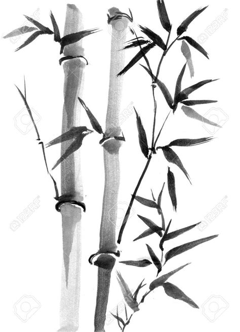 Bamboo Trees Hand Drawn With Ink In Japanese Ink Painting Sumi E