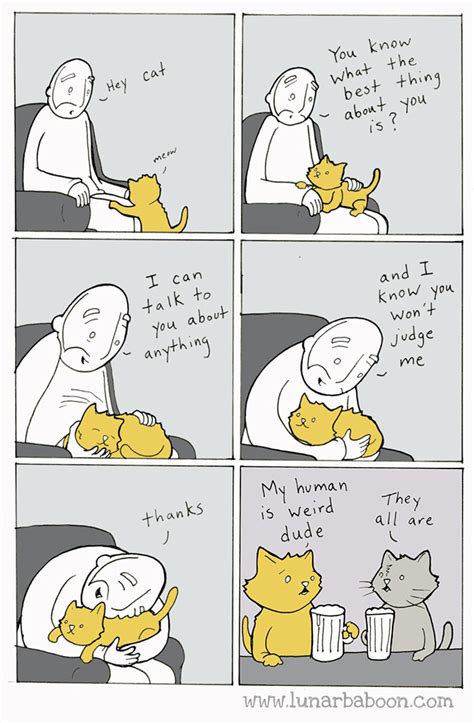 10 Hilarious Comics That Reveal The Reality Of Living With Cats