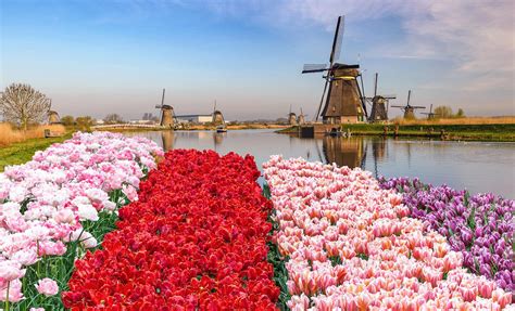 Rotterdam Netherlands Shore Excursions And Tours