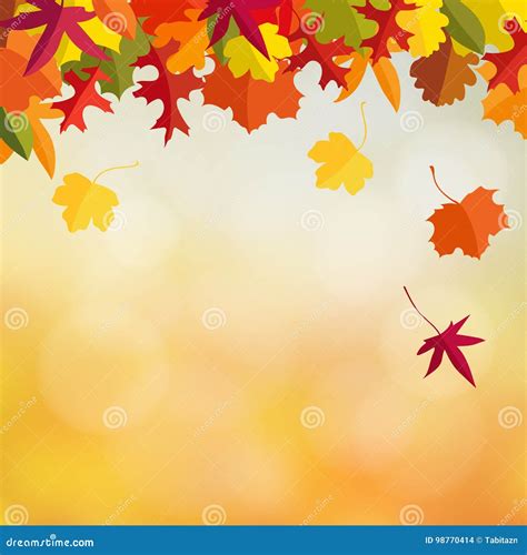 Autumn Fall Card Invitation With Maple And Oak Leaves And Bokeh Lights Modern Blurred Vector