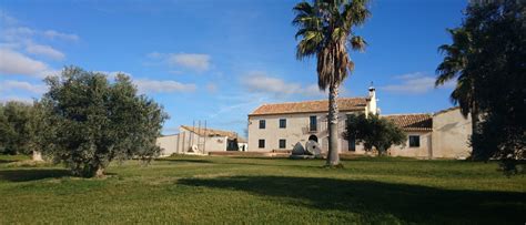 Check spelling or type a new query. Finca La Torre - Mar de Olivos - Fine Extra Virgin Olive ...