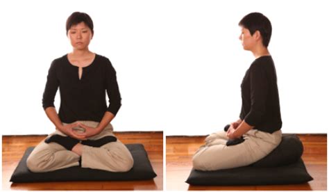 Learn How To Meditate Zen Meditation Zazen Instructions Mountains