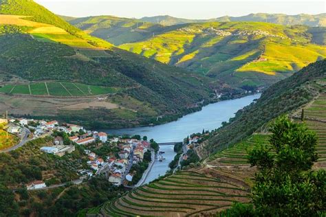 Douro Valley Tour Wine Tasting River Cruise And Lunch From Porto