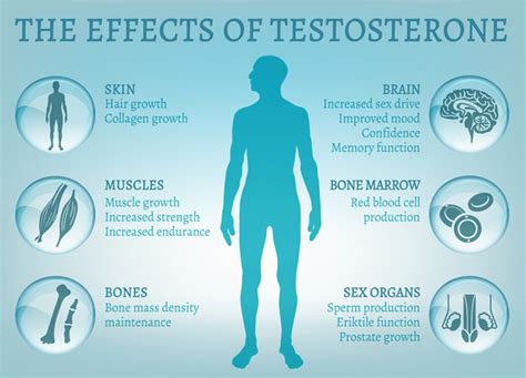 Low Testosterone Level In Men The 10 Warning Signs You Should Know