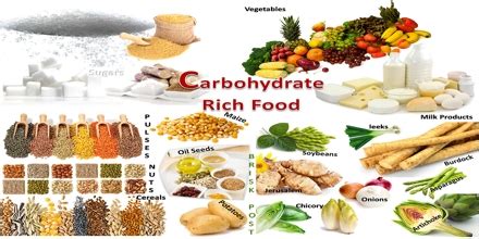 Carbs are in many of the foods we eat. Carbohydrate Foods - QS Study