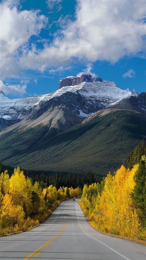 Autumn In Canadian Rockies Hwy 93 Icefields Parkway In Banff National