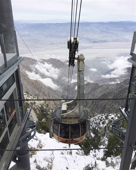 Sintético 105+ Foto Que Ver En Palm Springs Cena Hermosa