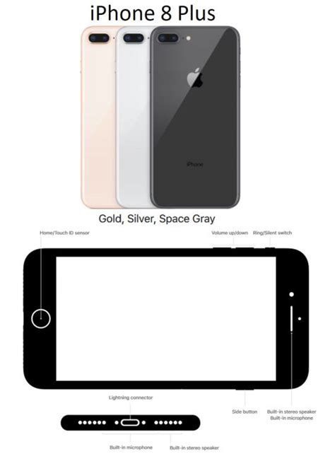 5.5″ screen | 12 megapixels (rear) | 7 megapixels (front). iPhone 8 Specifications and iPhone 8 Plus Specs ...