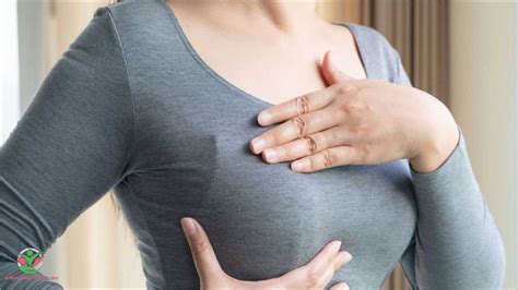 Douleurs Mammaires Ménopause Causes Symptômes Et Traitements Actualisé Février 2024