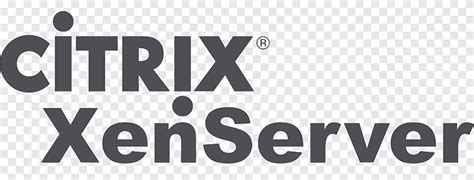 Xenserver Logo Brand Xenapp Citrix Systems Ms Project Text Logo Png