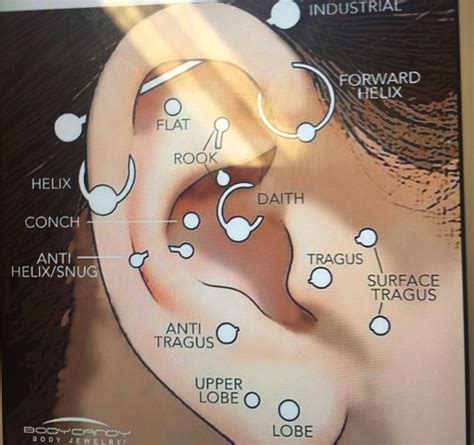 Pin By Kennedy Stickler On Peircings Types Of Ear Piercings