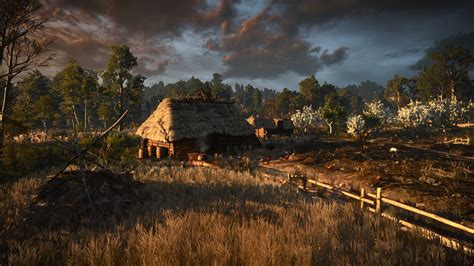 Landscape Screen Shot The Witcher 3 Wild Hunt Wallpapers Hd