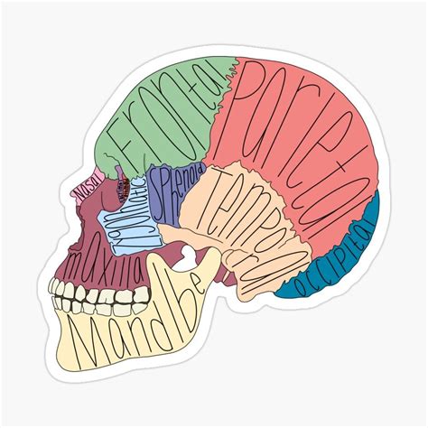 Medical Laboratory Science Nursing School Notes Medicine Student