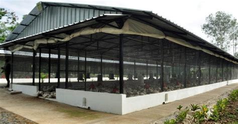 Looking for modern house plans? Poultry House Construction Guidelines