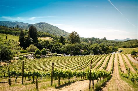 Napa Valley And Sonoma Wine Country Tour From San Francisco