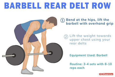 Barbell Rear Delt Row Exercise Com