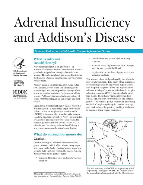 Adrenal Insufficiency And Addison S Disease Adrenal Insufficiency