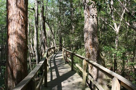 Kalmia Gardens - Hartsville South Carolina SC
