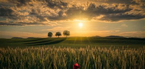 1890x900 Field Hd Sunrise 1890x900 Resolution Wallpaper Hd Nature 4k