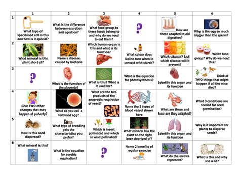 Check spelling or type a new query. Key Stage 3 Biology Revision | Teaching Resources