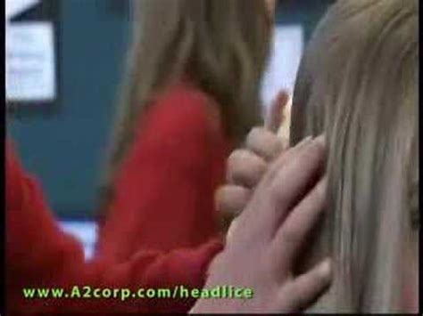Head Lice Home Treatments
