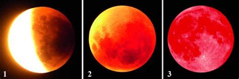 During this phase, the moon moved into earth's dark shadow, or umbra. 4. Lunar eclipses: partial (1), total penumbral eclipse (2 ...