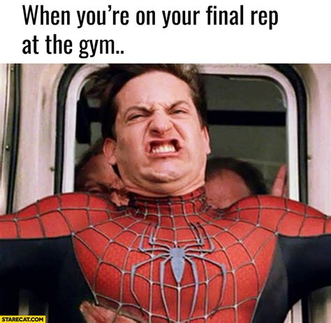 When you're on your final rep at the gym Spiderman | StareCat.com