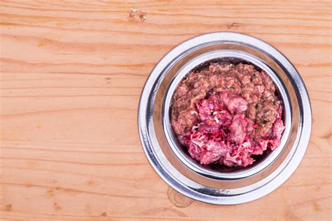 Our interest in protecting the environment. Raw Dog Food - Pros & Cons For Your Pet