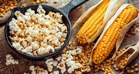 Corn is more american than apple pie and it's been cultivated in north american gardens for over 4,000 years. Growing Popcorn? It's Easier Than You Think - Farmers' Almanac