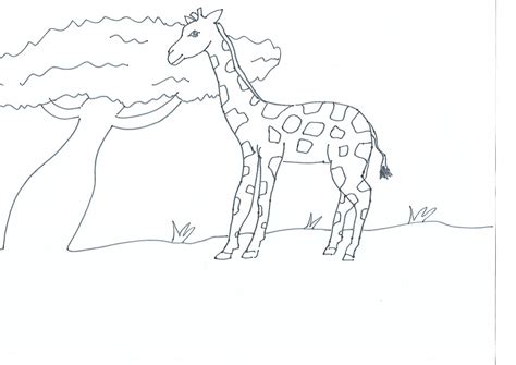 Coloriage Maternelle Girafe Dafrique à Imprimer Afrocaneo