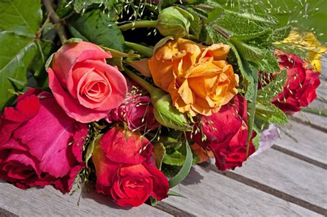 Bouquet Of Colorful Roses Stock Photo Download Image Now Istock