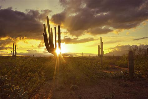 Sonoran Desert Sunset Photograph By Chance Kafka Pixels
