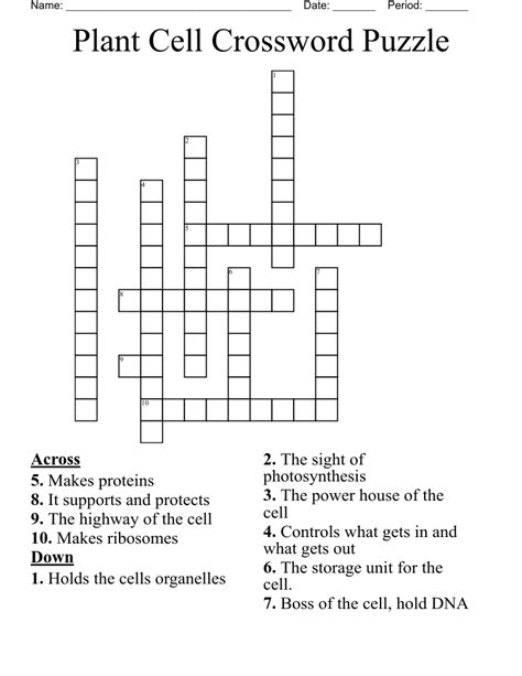 Plant Cell Crossword Puzzle Wordmint