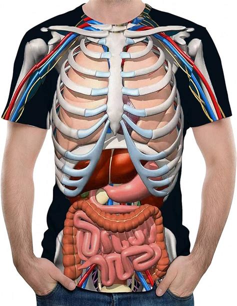 Rib Cage Anatomy Labeled Diagram Of D Human Rib With Labels The Rib