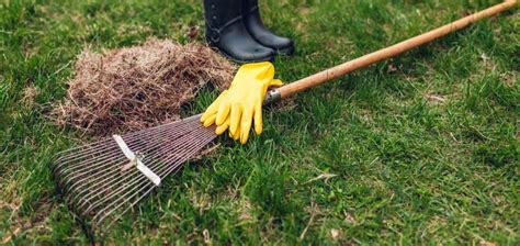 Manual dethatching is the most physically strenuous type of dethatching. How to Dethatch Your Lawn Using a Rake? - Care for Your Lawn