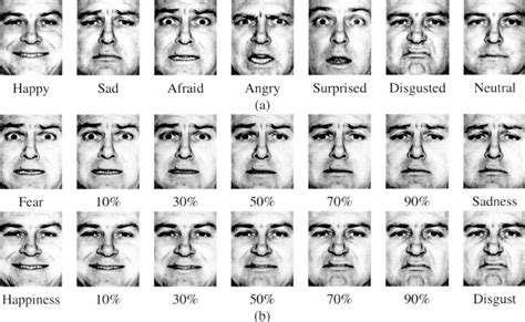 A Example Prototypical Expressions Of Six Basic Emotions And A