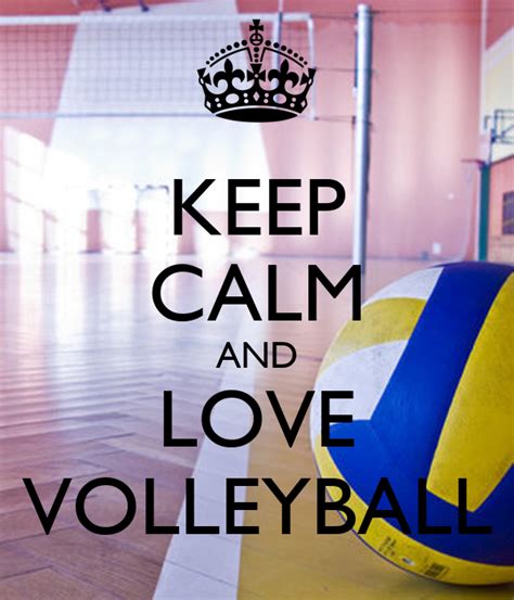 Keep Calm And Love Volleyball Poster Virginia Keep Calm O Matic