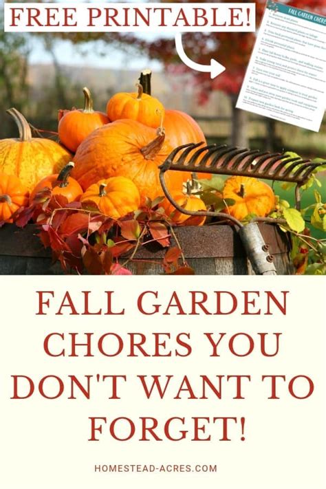 10 Tips To Get Your Garden Ready For Fall Fall Gardening Tips