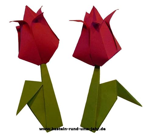 Tulpe aus Papier falten – die Tulpenblüte – Basteln rund ums Jahr