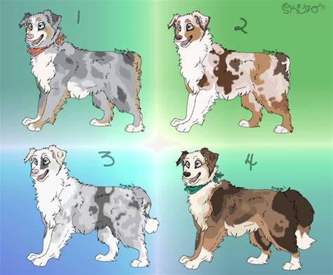 Australian Shepherds Done By Skitzifrania On Deviantart Australian