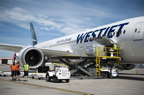WestJet doubles down on cargo, insources domestic sales ops as ...