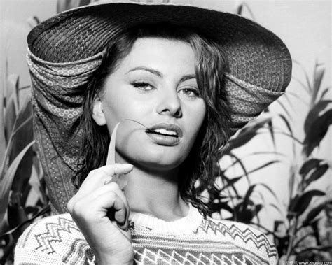 Sophia Loren Dangerous Curves Iheartingrid