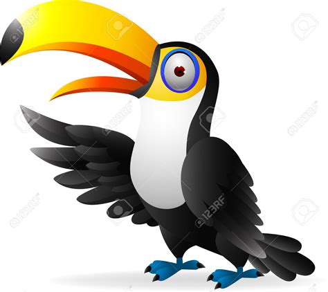Piciformes Clipart 20 Free Cliparts Download Images On Clipground 2023