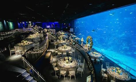 Beneath The Sea Breathtaking Underwater Hotels Dwp Insider