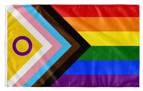 Progress Pride Flagge 90x150 Cm Kaufen Inkl Intersex