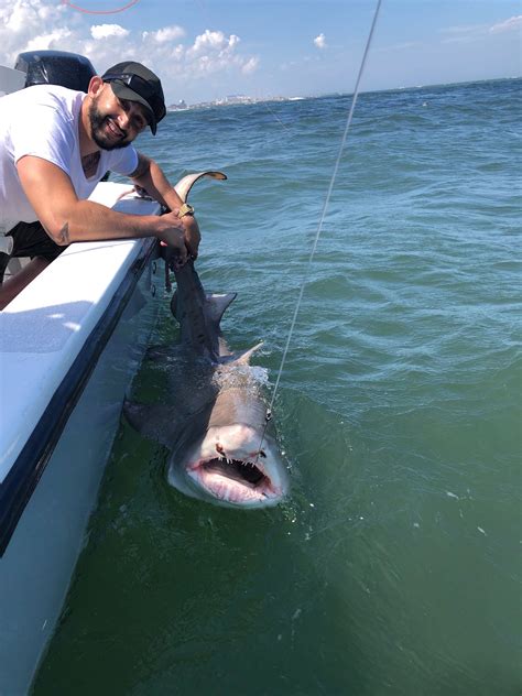 Shark Fishing Charters Ocean City Md All About Fishing