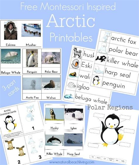 Montessori Arctic Activities ~polar Regions Free Printables Natural