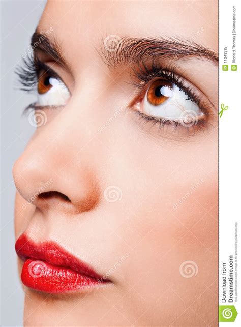Brown Eyes And Red Lips Stock Image Image Of Mature